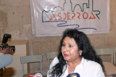 2013_02_aurora-prensa